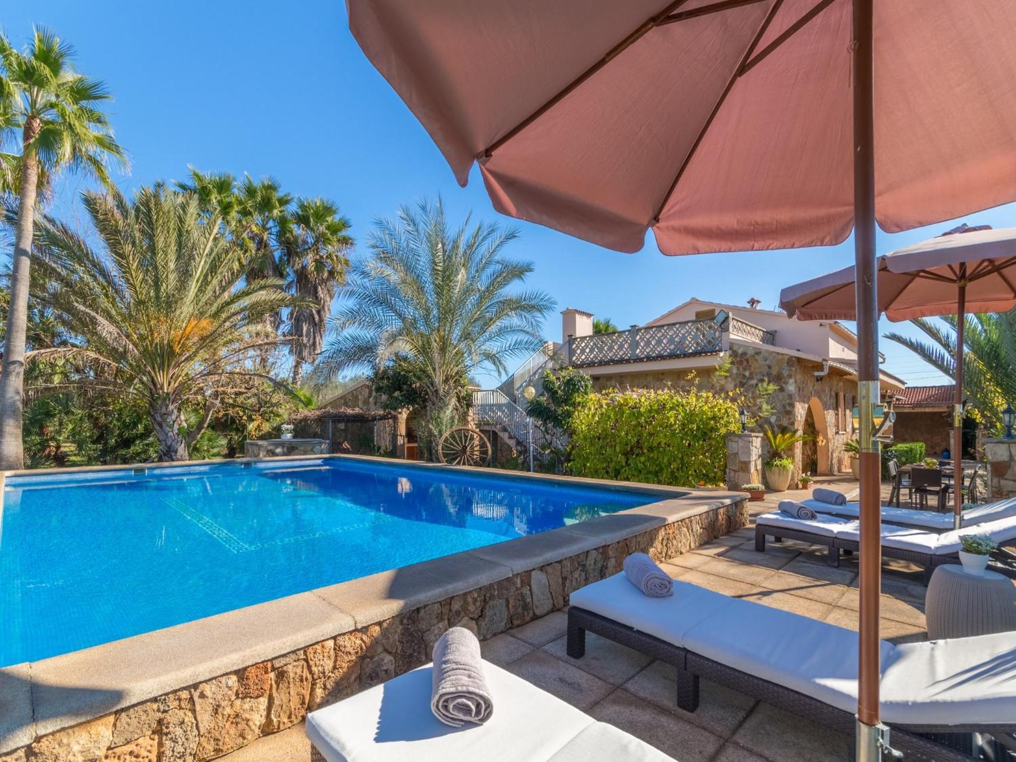 With Swimming Pool Ferienhaus